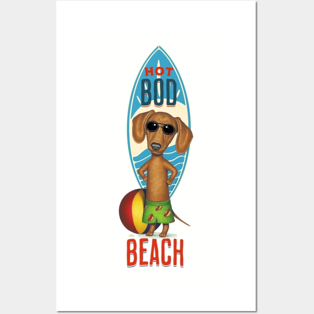 funny cute swimming doxie dog with  Hot Bod on beach dachshund dog Wall Art by Danny Gordon Art